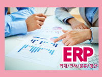 (생산정보시스템)ERP 생산정보시스템-생산,물류,인사,회계